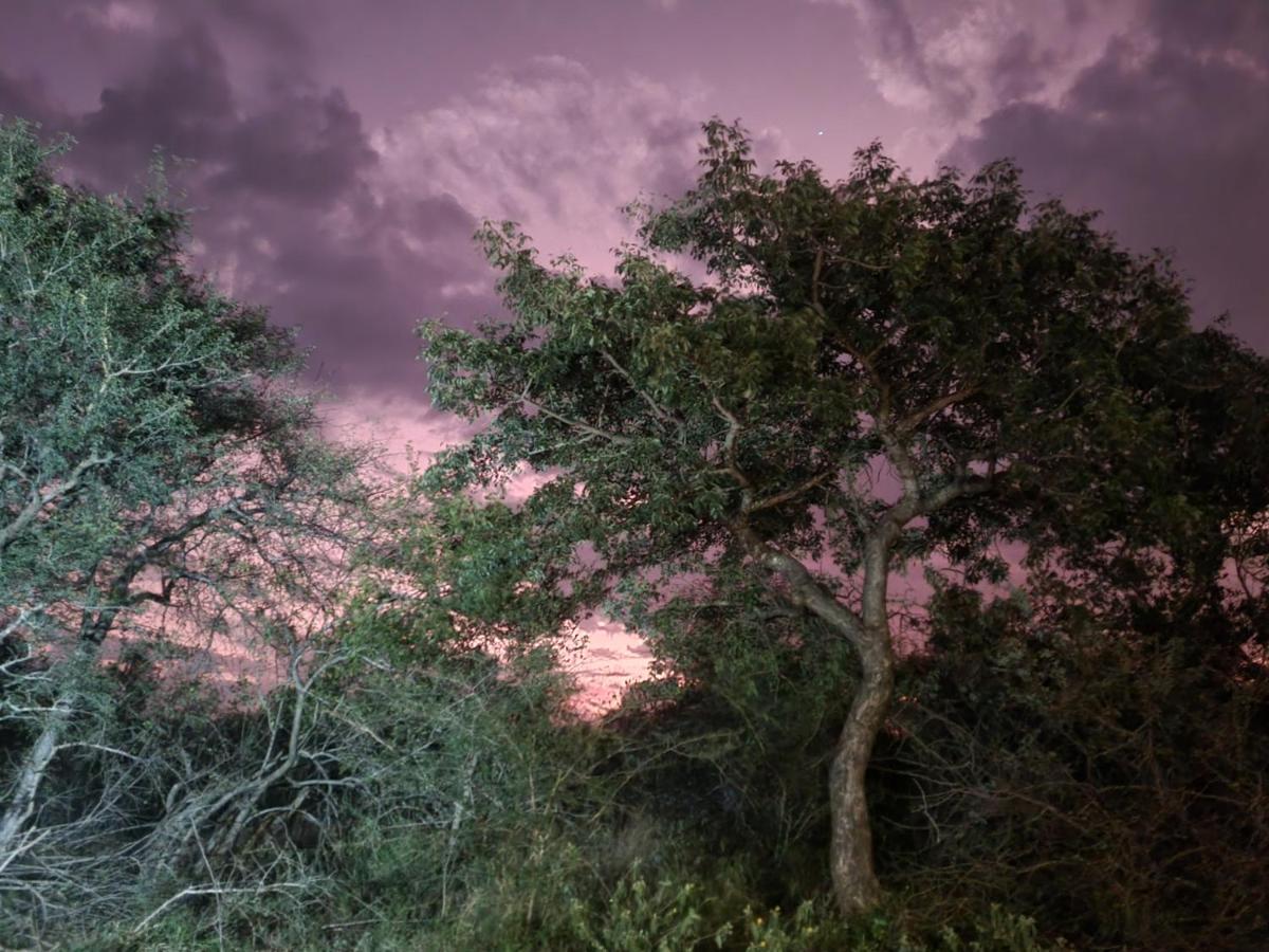הוילה הודספרויט Larima Bush Retreat מראה חיצוני תמונה