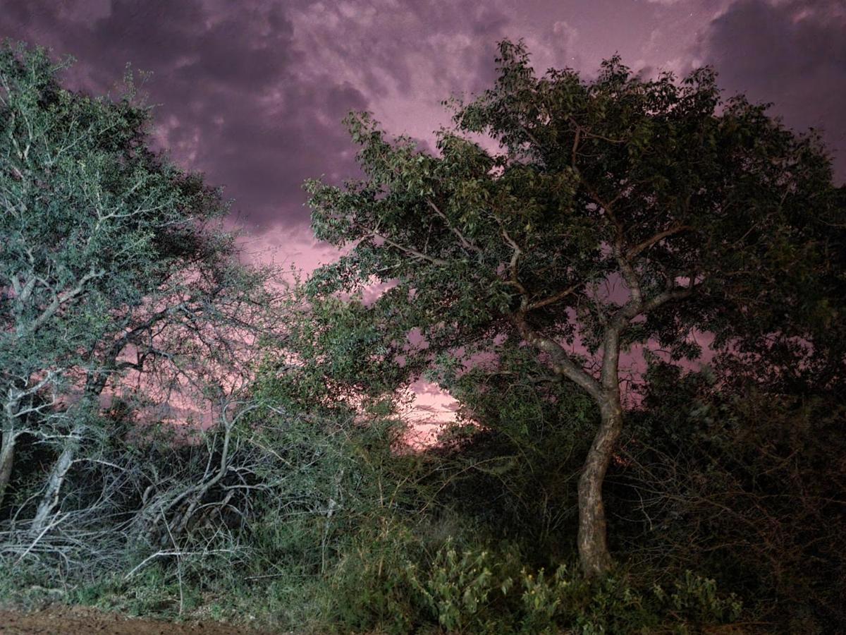 הוילה הודספרויט Larima Bush Retreat מראה חיצוני תמונה